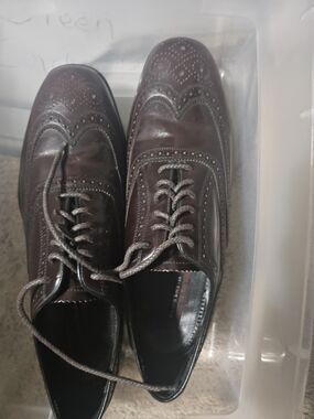 Florsheim Burgundy Leather Wingtip Oxfords